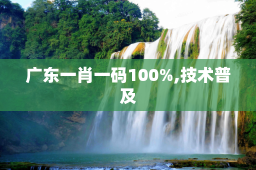 广东一肖一码100%,技术普及