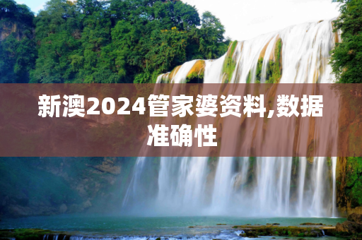 新澳2024管家婆资料,数据准确性