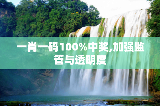 一肖一码100%中奖,加强监管与透明度