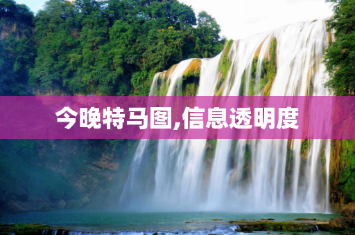 今晚特马图,信息透明度