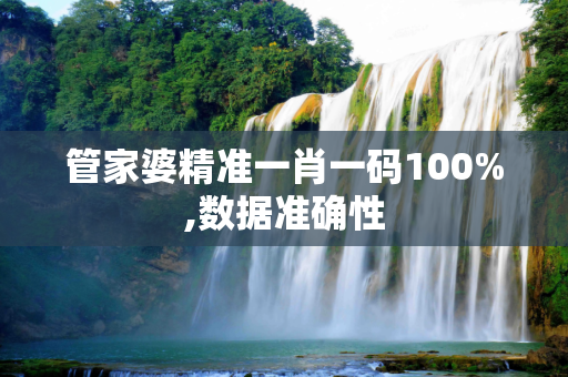 管家婆精准一肖一码100%,数据准确性