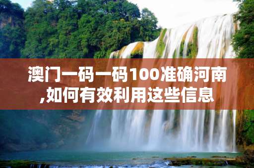 澳门一码一码100准确河南,如何有效利用这些信息