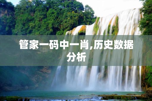 管家一码中一肖,历史数据分析