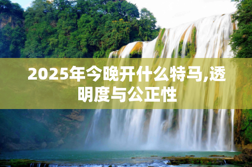 2025年今晚开什么特马,透明度与公正性