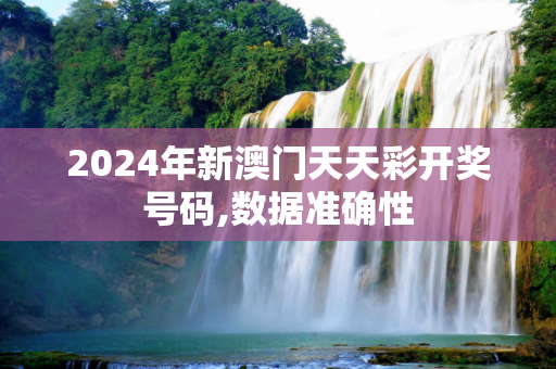 2024年新澳门天天彩开奖号码,数据准确性