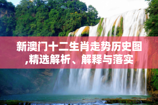 新澳门十二生肖走势历史图,精选解析、解释与落实