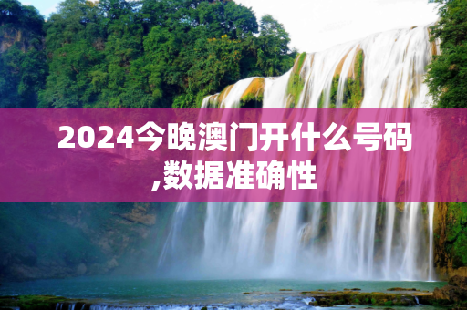 2024今晚澳门开什么号码,数据准确性