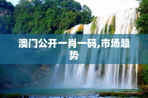澳门公开一肖一码,市场趋势