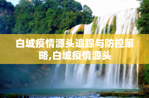 白城疫情源头追踪与防控策略,白城疫情源头