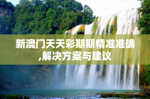新澳门天天彩期期精准准确,解决方案与建议
