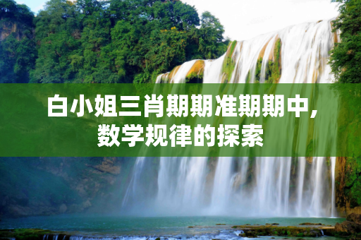 白小姐三肖期期准期期中,数学规律的探索