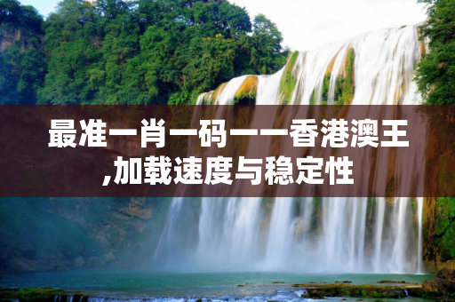 最准一肖一码一一香港澳王,加载速度与稳定性