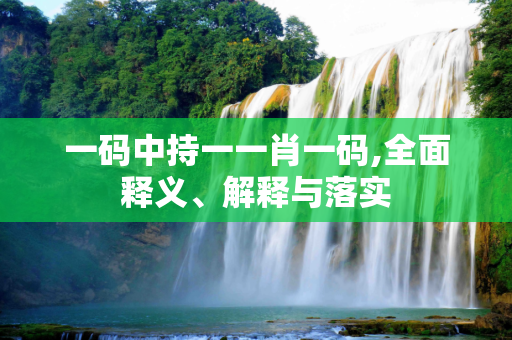 一码中持一一肖一码,全面释义、解释与落实