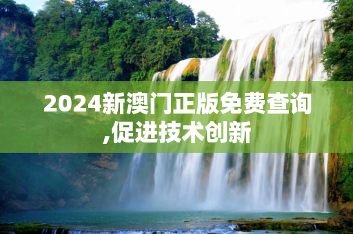 2024新澳门正版免费查询,促进技术创新