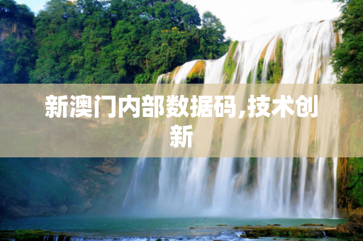 新澳门内部数据码,技术创新