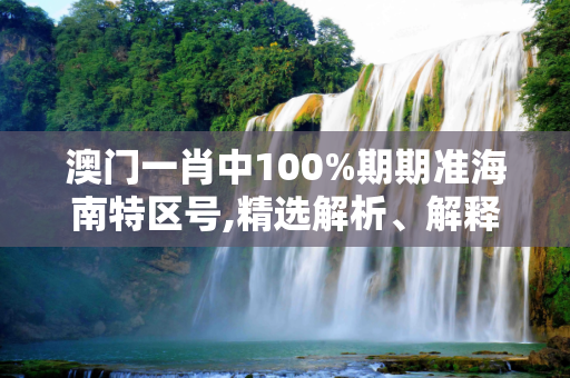澳门一肖中100%期期准海南特区号,精选解析、解释与落实