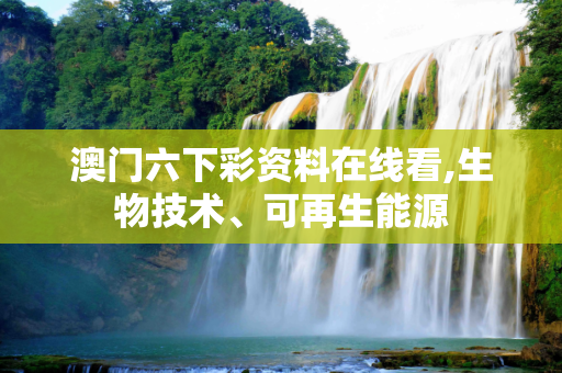澳门六下彩资料在线看,生物技术、可再生能源
