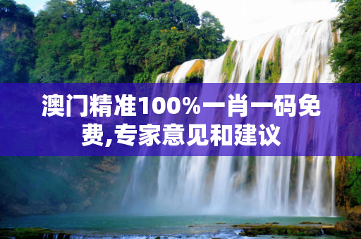 澳门精准100%一肖一码免费,专家意见和建议