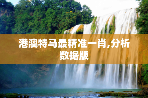 港澳特马最精准一肖,分析数据版
