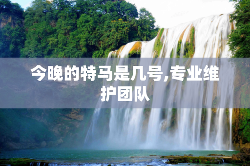 今晚的特马是几号,专业维护团队