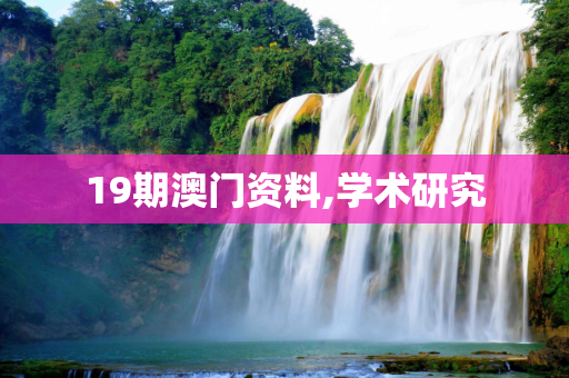 19期澳门资料,学术研究