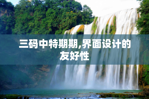 三码中特期期,界面设计的友好性