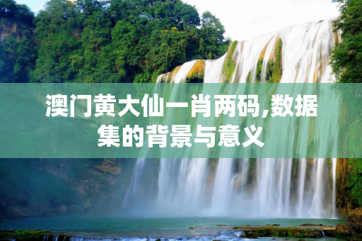 澳门黄大仙一肖两码,数据集的背景与意义