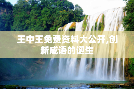 王中王免费资料大公开,创新成语的诞生