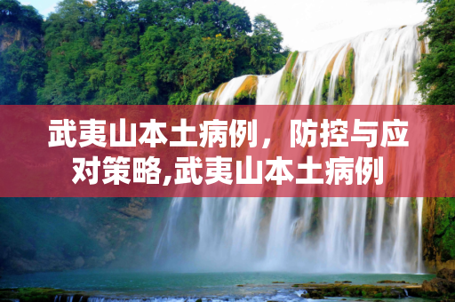 武夷山本土病例，防控与应对策略,武夷山本土病例