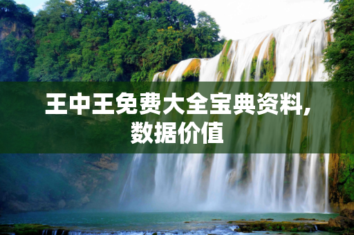 王中王免费大全宝典资料,数据价值