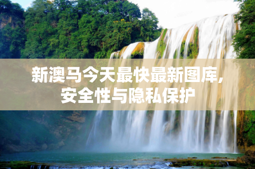 新澳马今天最快最新图库,安全性与隐私保护