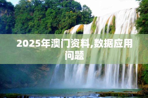 2025年澳门资料,数据应用问题