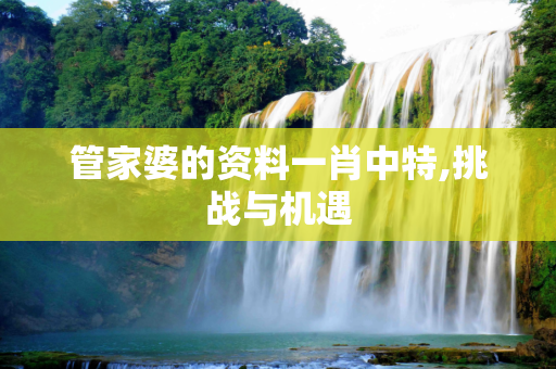 管家婆的资料一肖中特,挑战与机遇