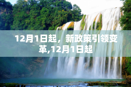 12月1日起，新政策引领变革,12月1日起
