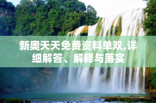 新奥天天免费资料单双,详细解答、解释与落实