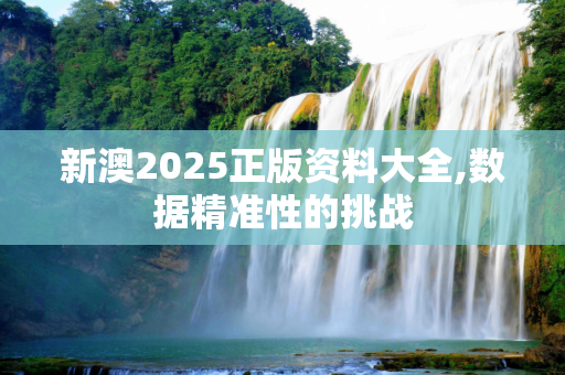 新澳2025正版资料大全,数据精准性的挑战