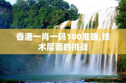 香港一肖一码100准确,技术层面的挑战