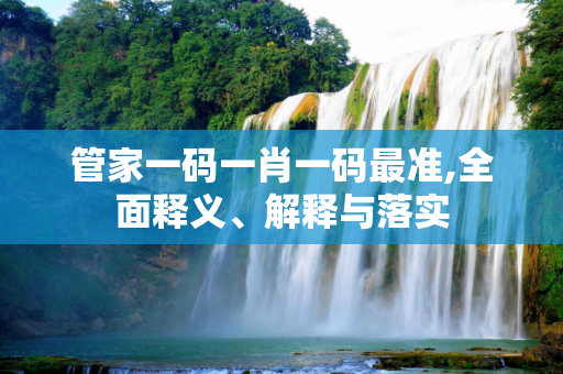 管家一码一肖一码最准,全面释义、解释与落实