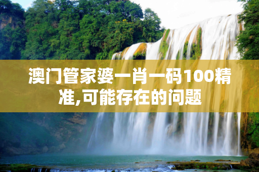澳门管家婆一肖一码100精准,可能存在的问题