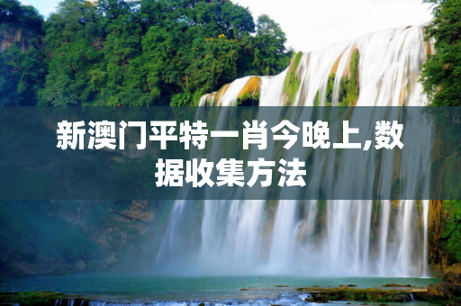 新澳门平特一肖今晚上,数据收集方法