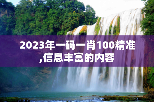 2023年一码一肖100精准,信息丰富的内容