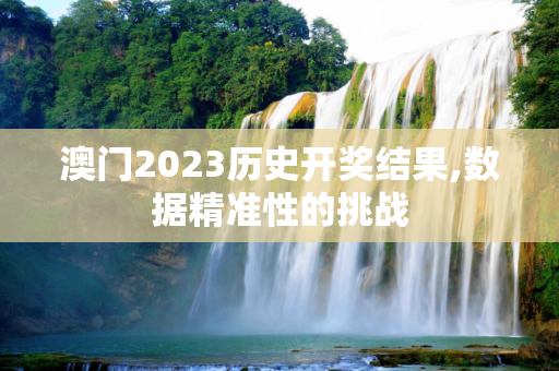 澳门2023历史开奖结果,数据精准性的挑战