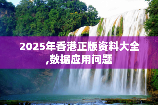 2025年香港正版资料大全,数据应用问题