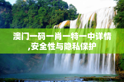 澳门一码一肖一特一中详情,安全性与隐私保护