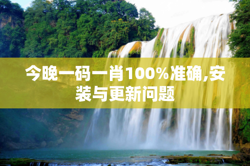 今晚一码一肖100%准确,安装与更新问题