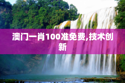 澳门一肖100准免费,技术创新
