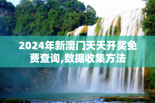 2024年新澳门天天开奖免费查询,数据收集方法