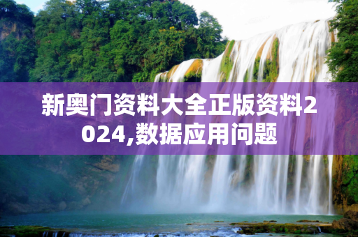 新奥门资料大全正版资料2024,数据应用问题