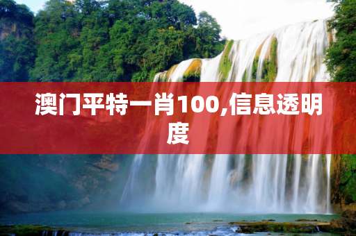 澳门平特一肖100,信息透明度