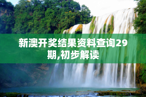 新澳开奖结果资料查询29期,初步解读